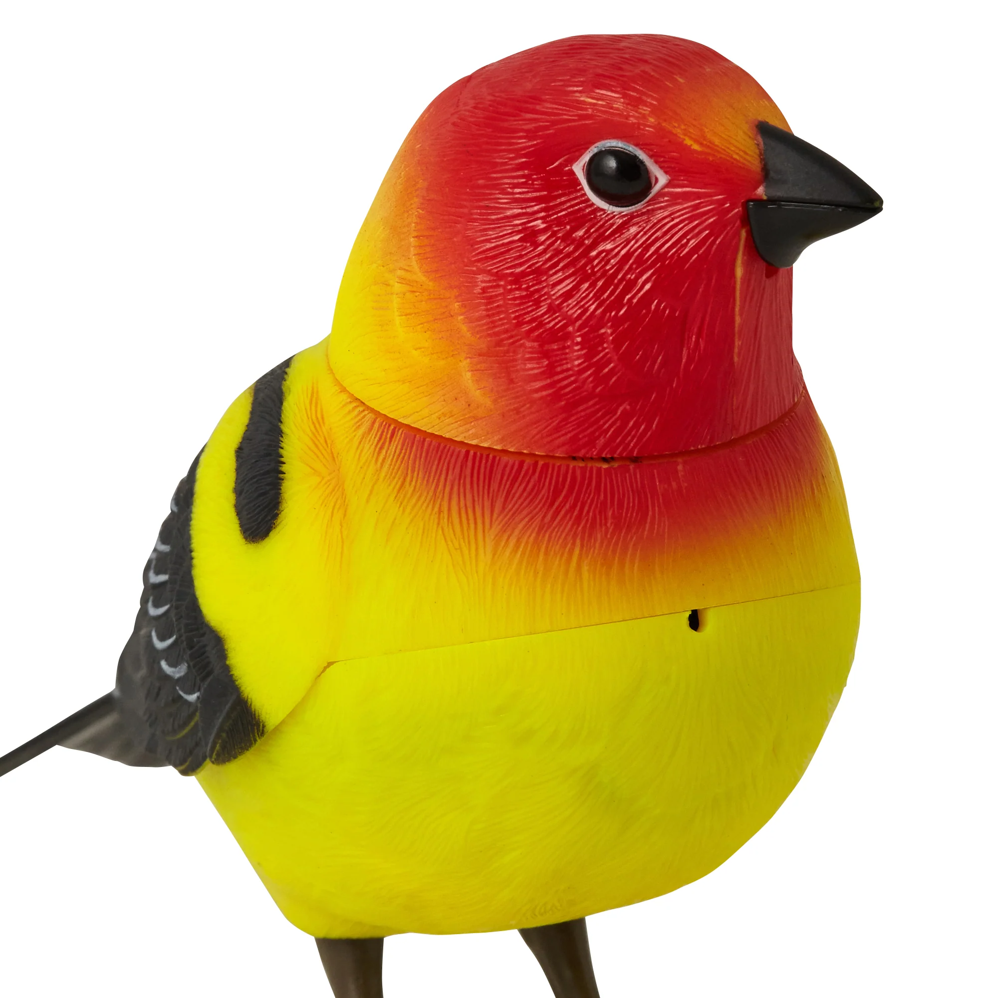 人感ミュージックバード クリップ イエロー - Image 5
