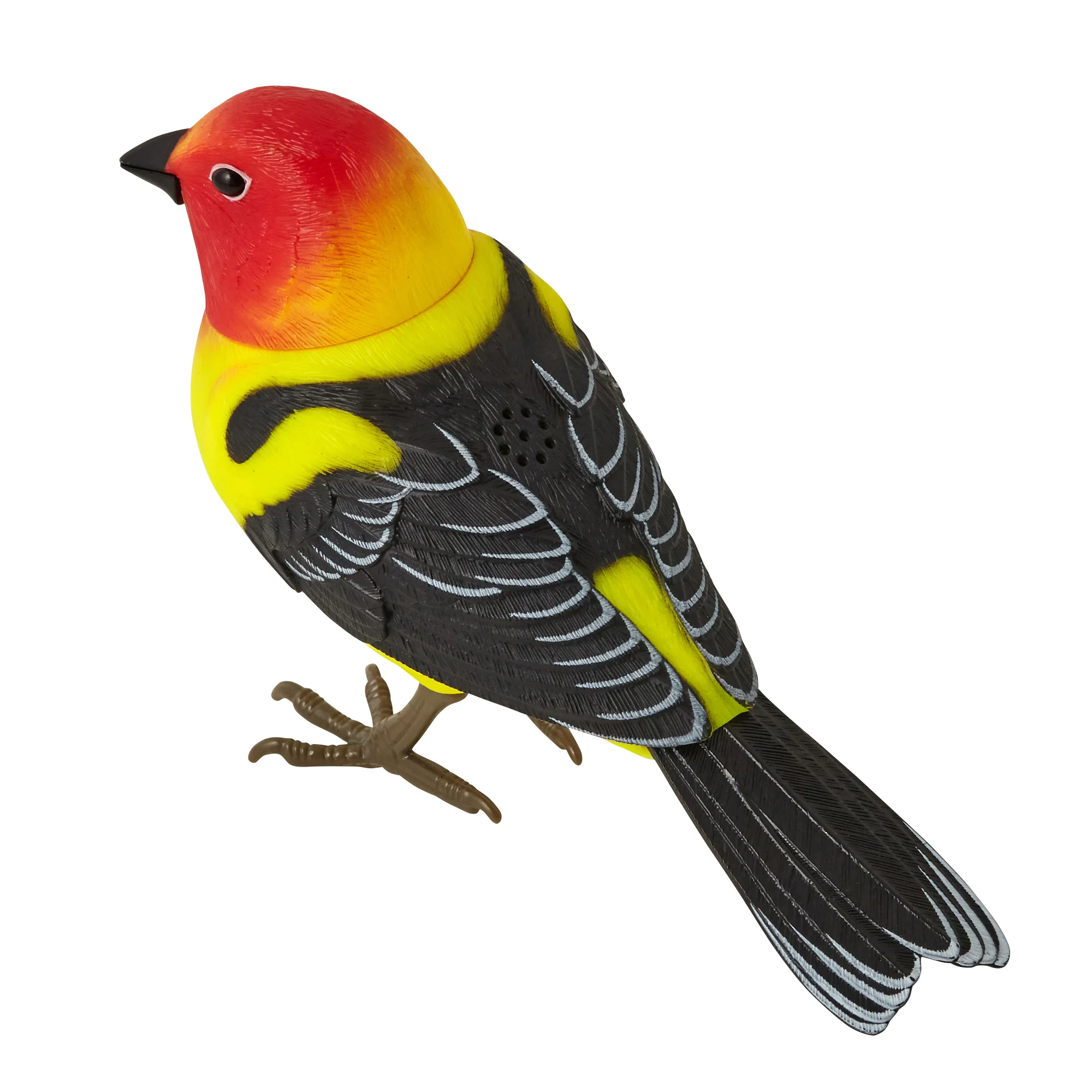 人感ミュージックバード クリップ イエロー - Image 6