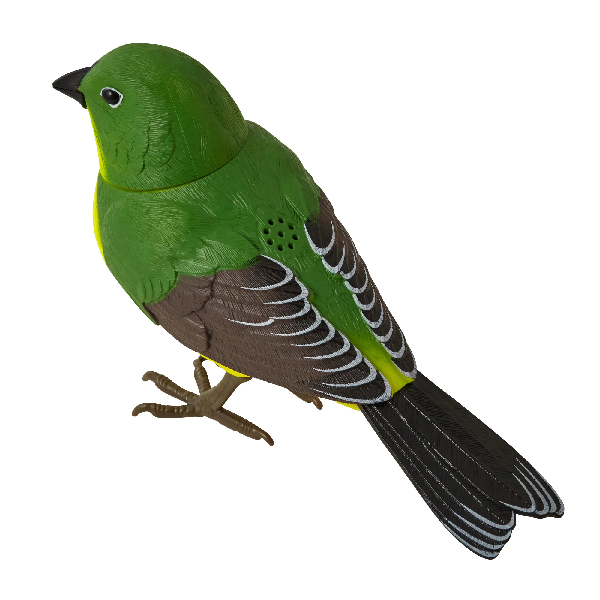 人感ミュージックバード クリップ グリーン - Image 6