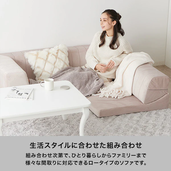 【EC限定】ファミーユ ローソファ 2S  グレー（W1000） - Image 2